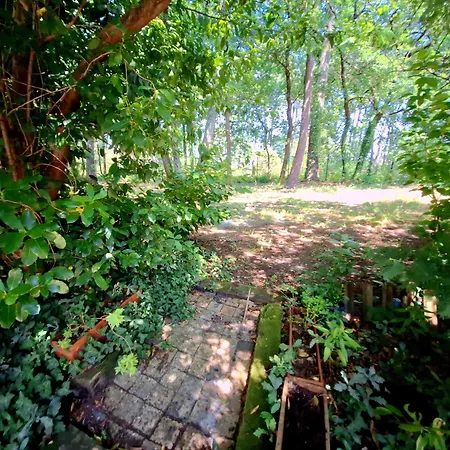 פארק נופש Detente Et Nature Maisonnette Conviviale Pour 6 Personnes Dans Un Village De Vacances גוז'אן-מסטרה