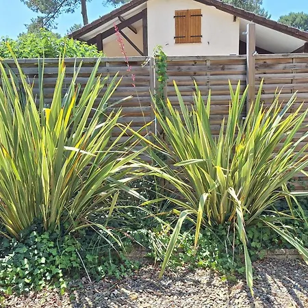 Ferienpark Detente Et Nature Maisonnette Conviviale Pour 6 Personnes Dans Un Village De Vacances